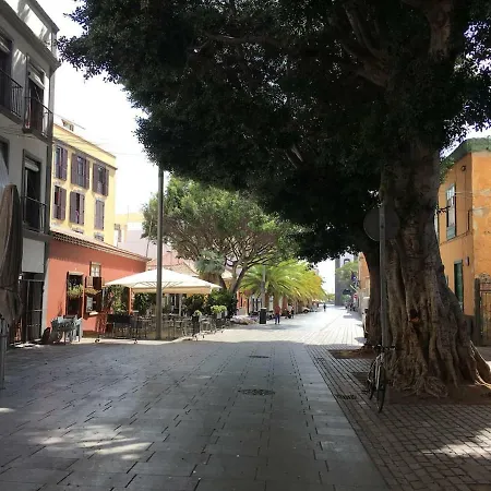 Appartement Orchideas House Centrico Y Acogedor Vacacional En Cruz *